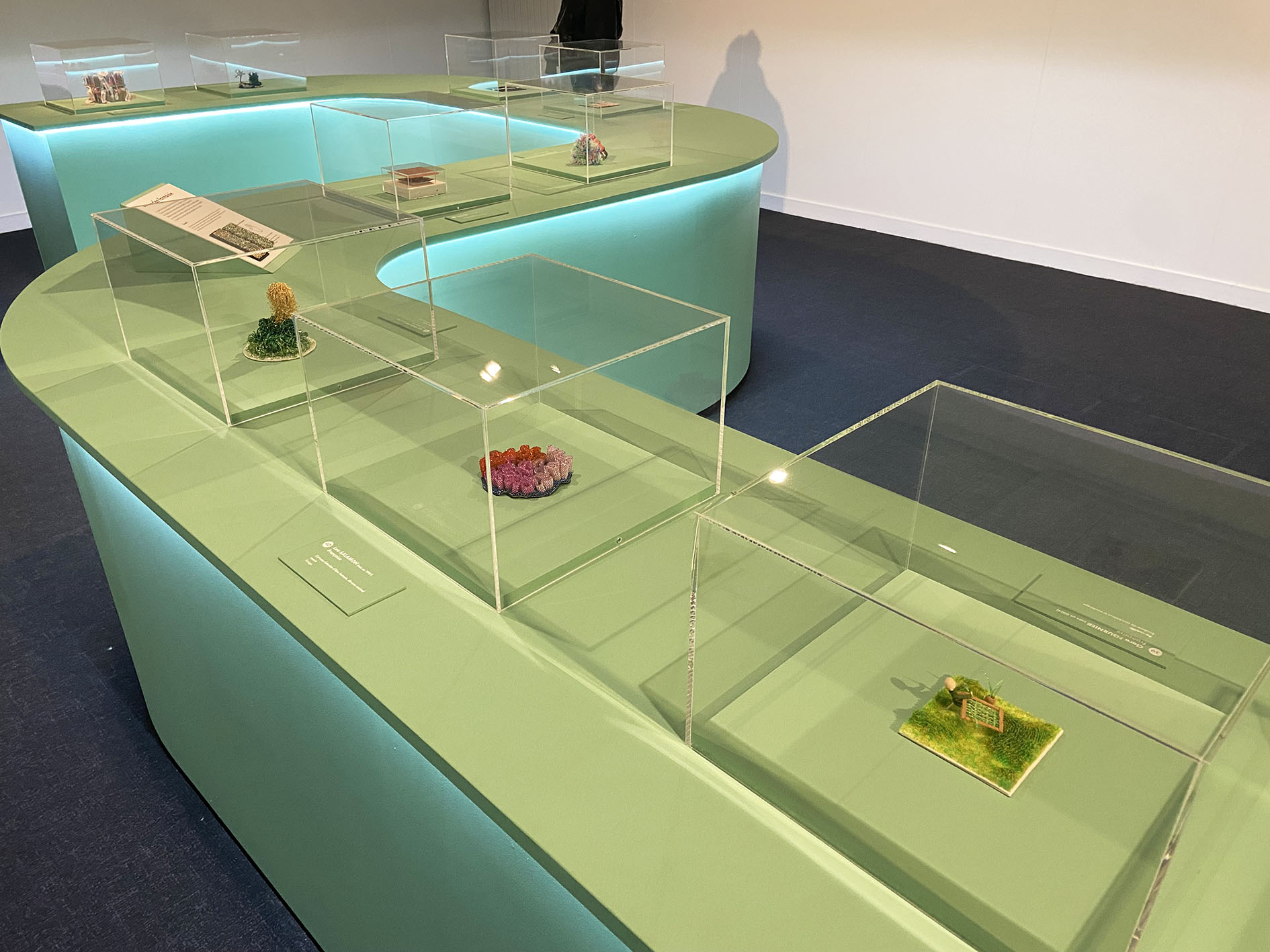 4-salle-2 cat graphisme, scénographie, scénographe, graphisme, web design, Angers, Savennières, Bouchemaine, Maine et Loire